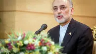 پیشنهاد صالحی به وزیر خارجه مجارستان