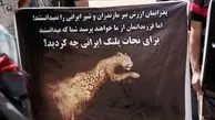 خانم ابتکار! کاهش ۴۵ درصدی تلفات پلنگ دروغ است