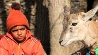 اکران فیلم اسکی‌باز آغاز شد