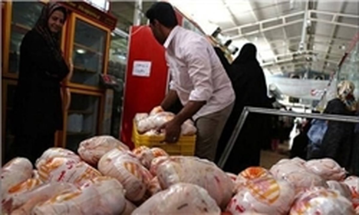 پرواز قیمت مرغ در سرما