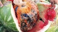 جاسازی‌هایی که به عقل جن هم نمی‌رسد/‌خیار با طعم مخدر؛ بالشت‌هایی از جنس تریاک!