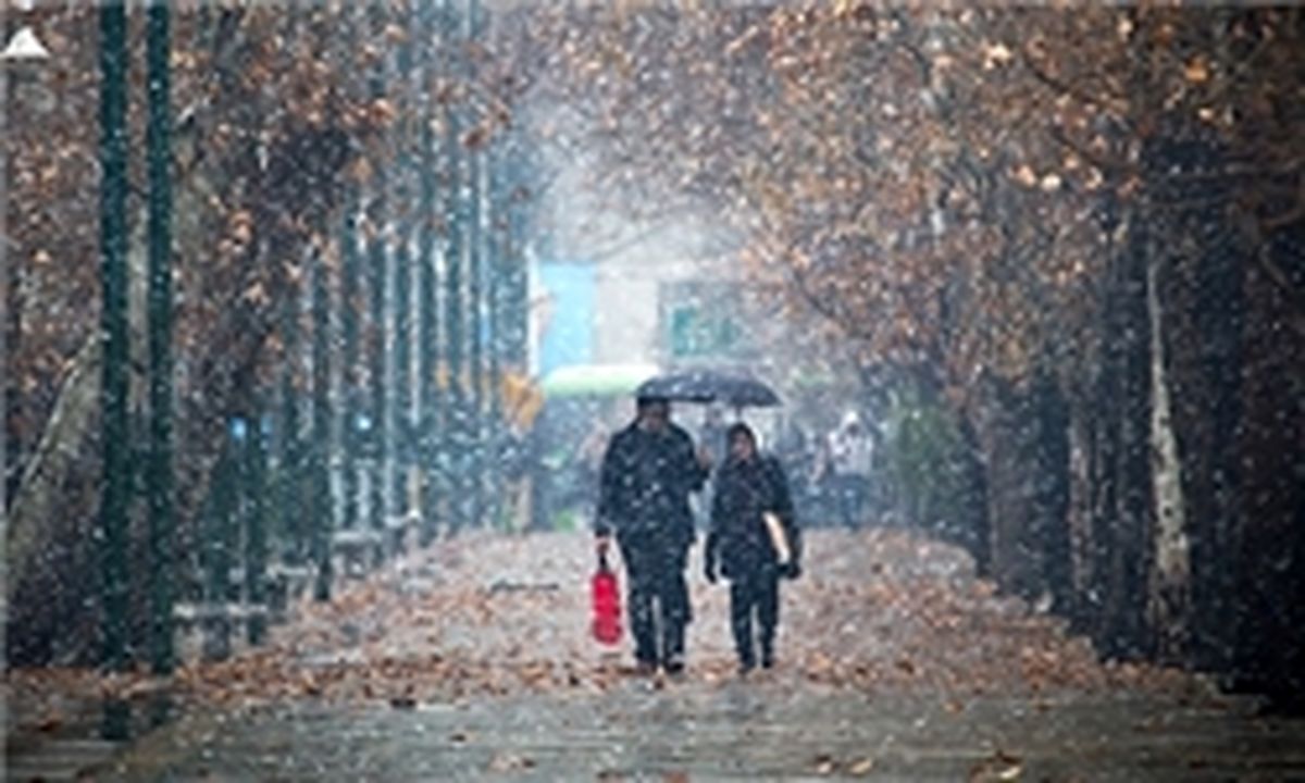 بارش باران ساروی‌ها را غافلگیر کرد