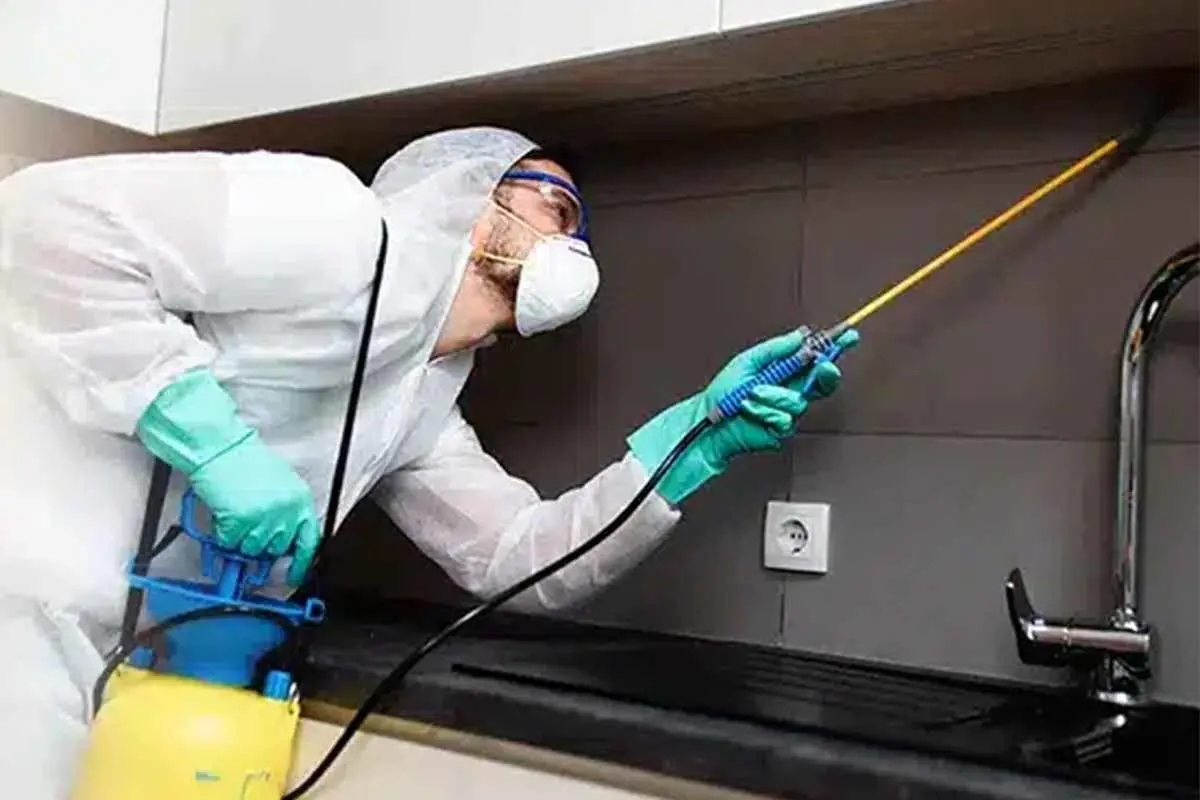 روش صحیح استفاده از سم های مارمولک کش خانگی