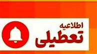 مدارس ابتدایی تهران 2 روز غیرحضوری شد