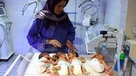 مادر سردشتی 4 قلو به دنیا آورد