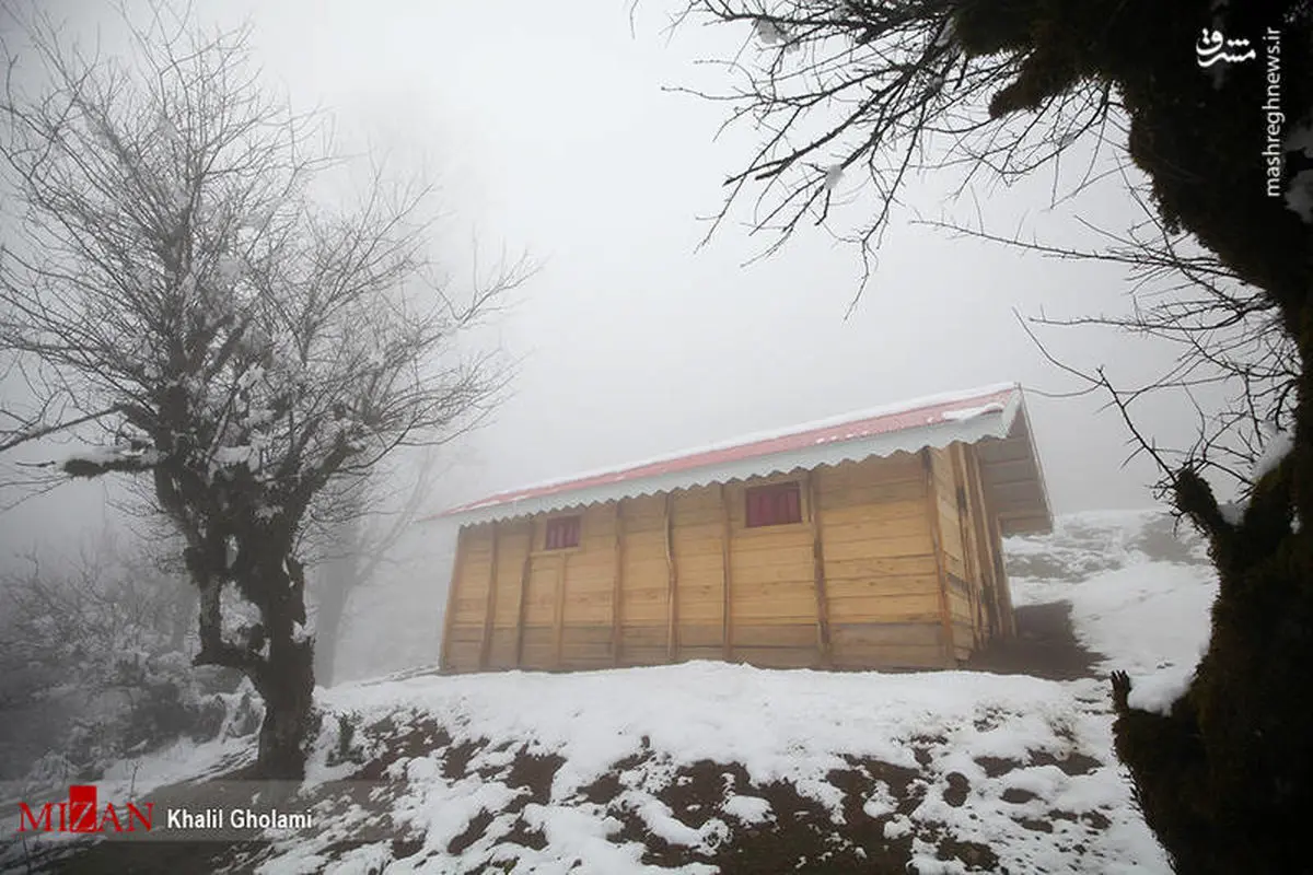 کلبه‌های برفی تالش/ عکس