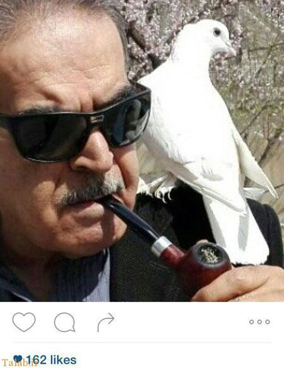 عکس خاص خوشتیپ حمید لولایی