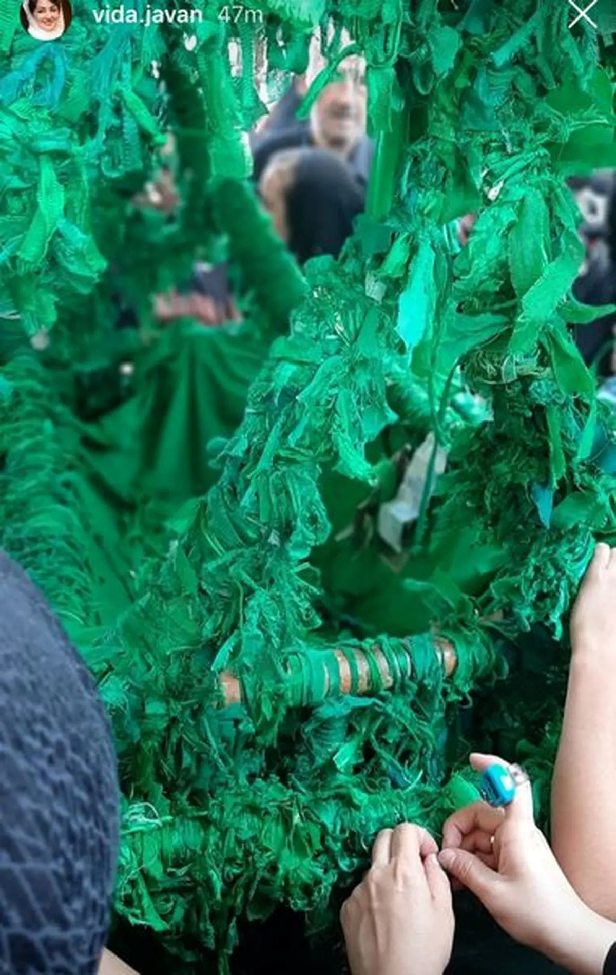 ظهر عاشورا ویدا جوان چگونه گذشت؟+عکس