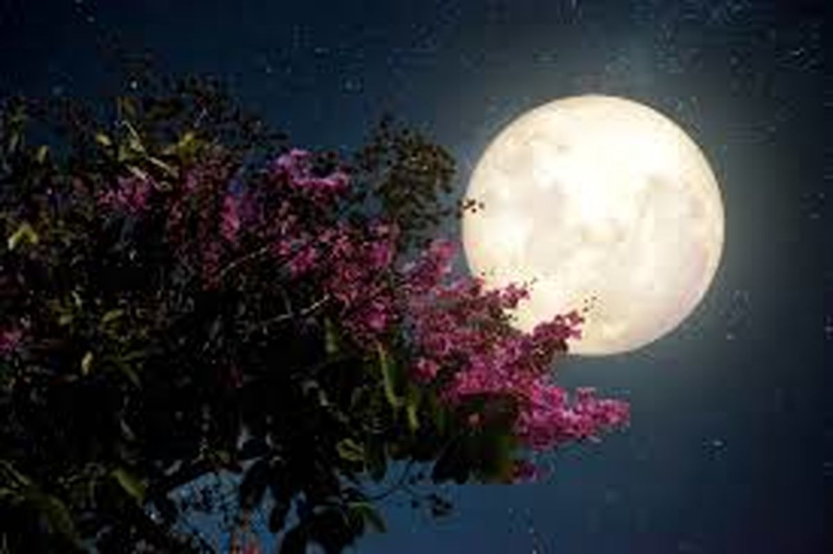  شب رفتنی است