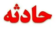 حمله پلنگ گرسنه به گله گوسفندان