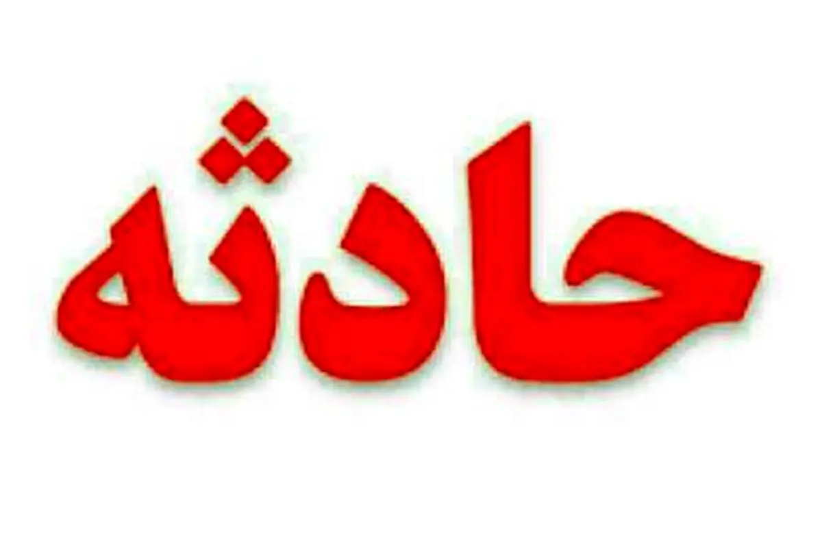 حمله پلنگ گرسنه به گله گوسفندان