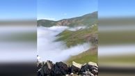 آشنایی با رؤیایی‌ترین جاده جنگلی ایران+ فیلم 