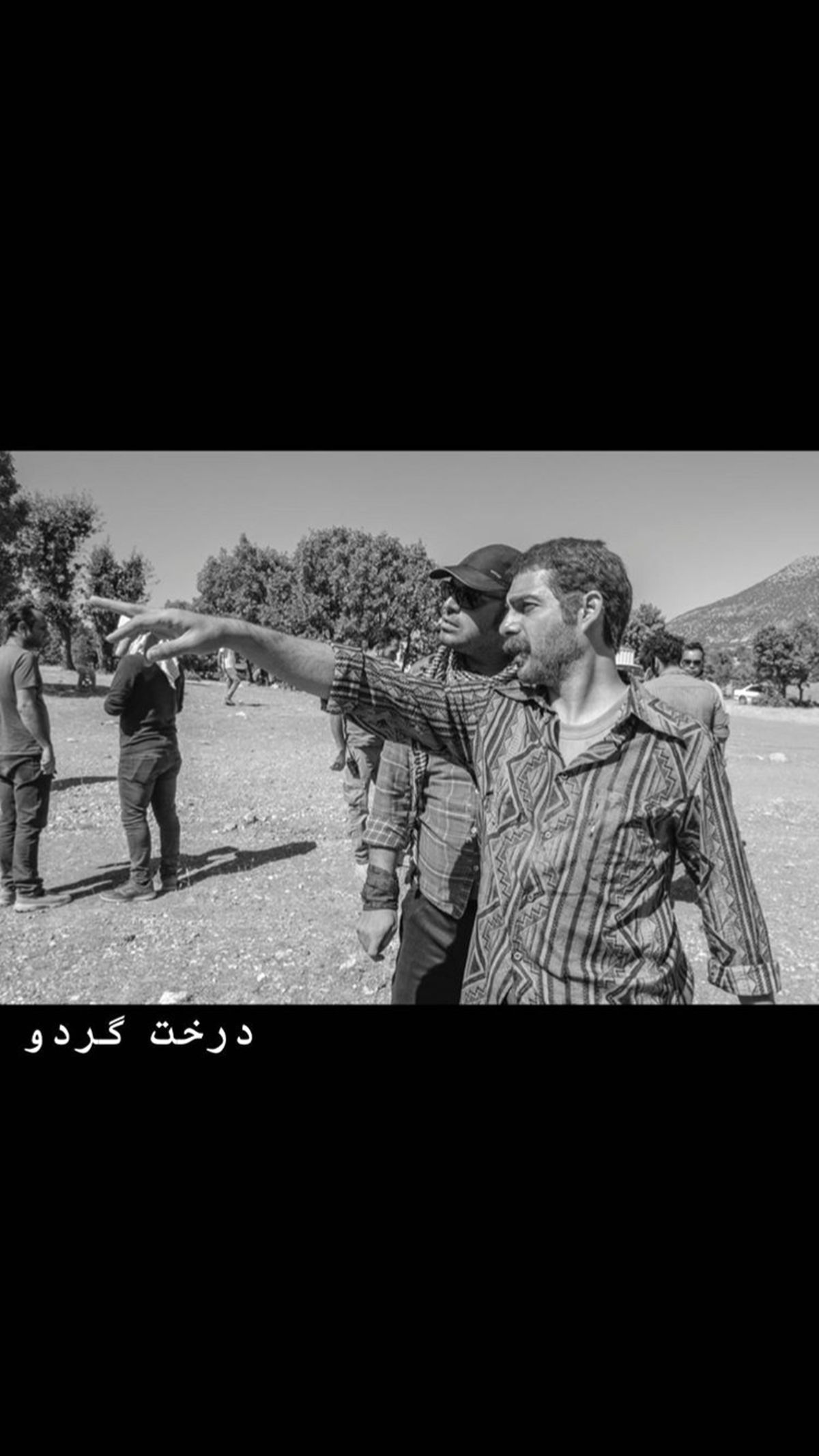 درخت گردوی آقای بازیگر + عکس