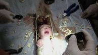 پدر و مادری که نوزادشان را به چاه دستشویی انداختند! + تصاویر