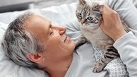 هشدار ! بیماری های مشترک انسان و گربه که خطرناک هستند
