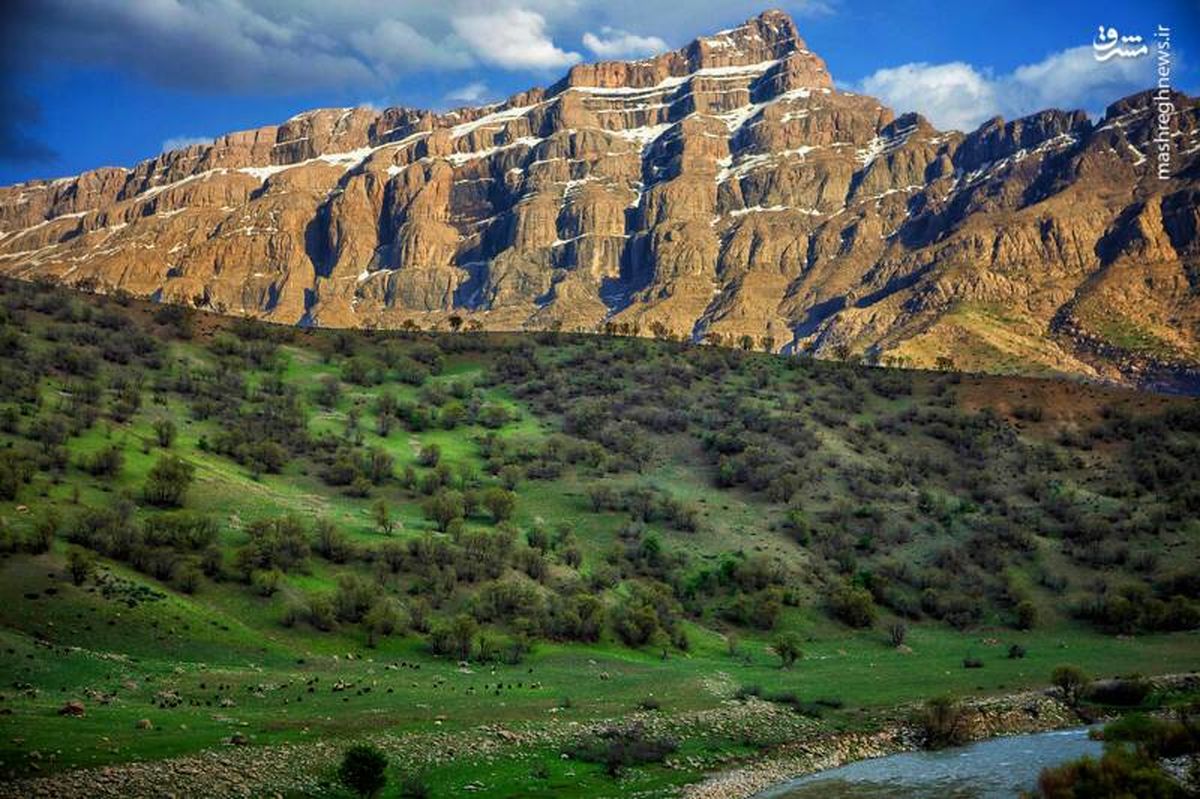 تصاویر زیبا از آلپ ایران