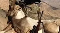 پست جنجالی مجید واشقانی علیه شکارچیان