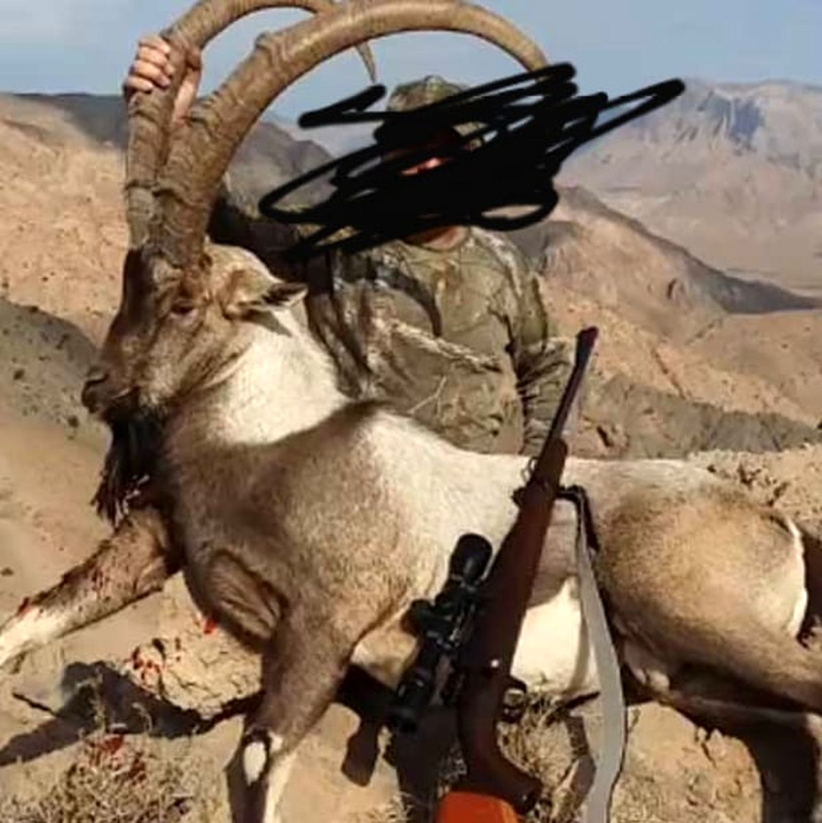 پست جنجالی مجید واشقانی علیه شکارچیان