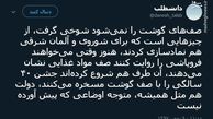 توئیتر:صف‌های گوشت نماد است!
