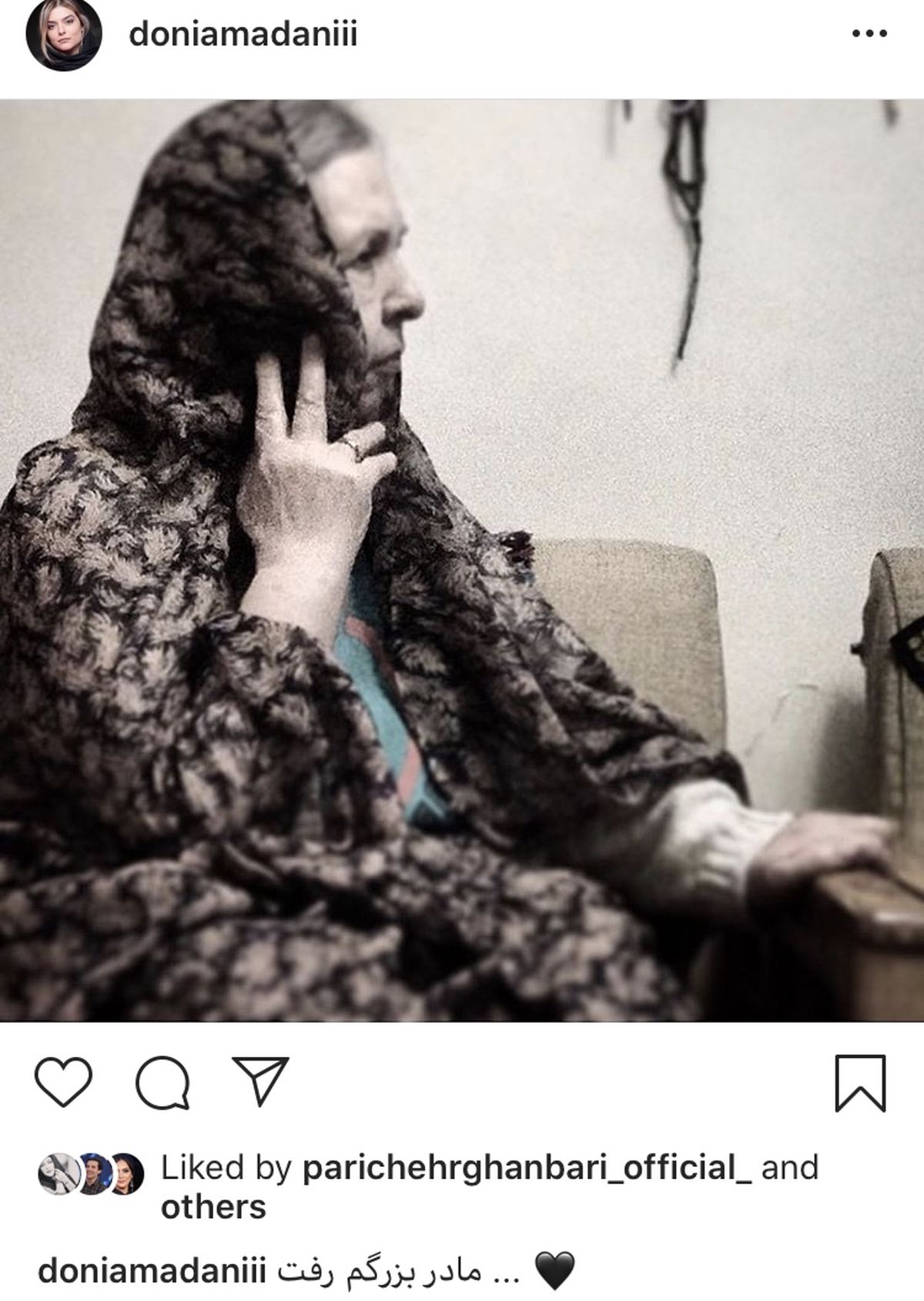 دنیا مدنی عزادار شد + عکس