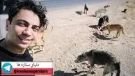 نگهداری محسن ابراهیم زاده از سگ های ولگرد+عکس