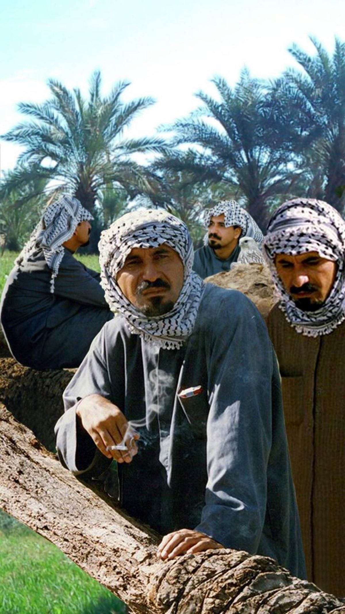 ظاهر جنوبی حمید فرخ نژاد + عکس