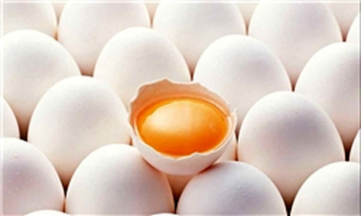  تخم‌مرغ‌های «طلا» در سبد مصرف خانوار 