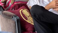 گربه خانگی امیرمهدی ژوله + عکس