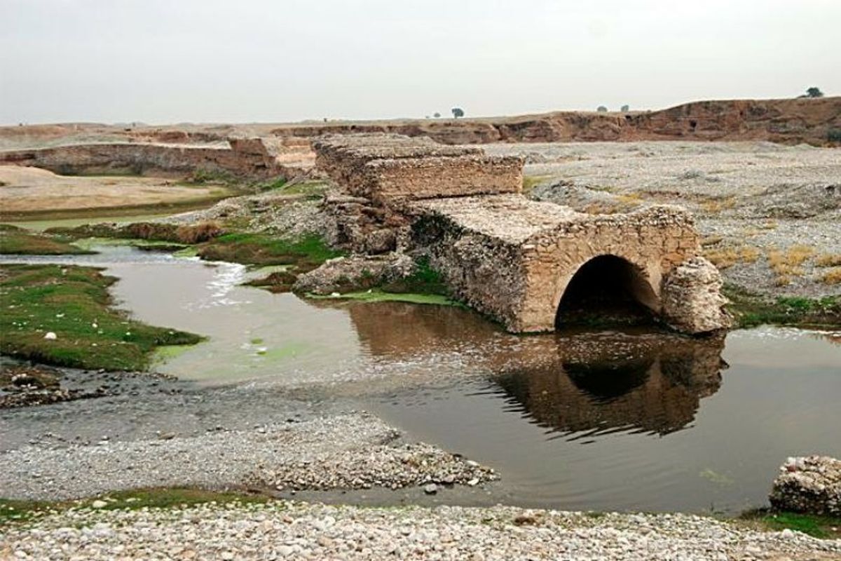 مستند «سودابه مجاوری» از شبکه چهار پخش می‌شود
