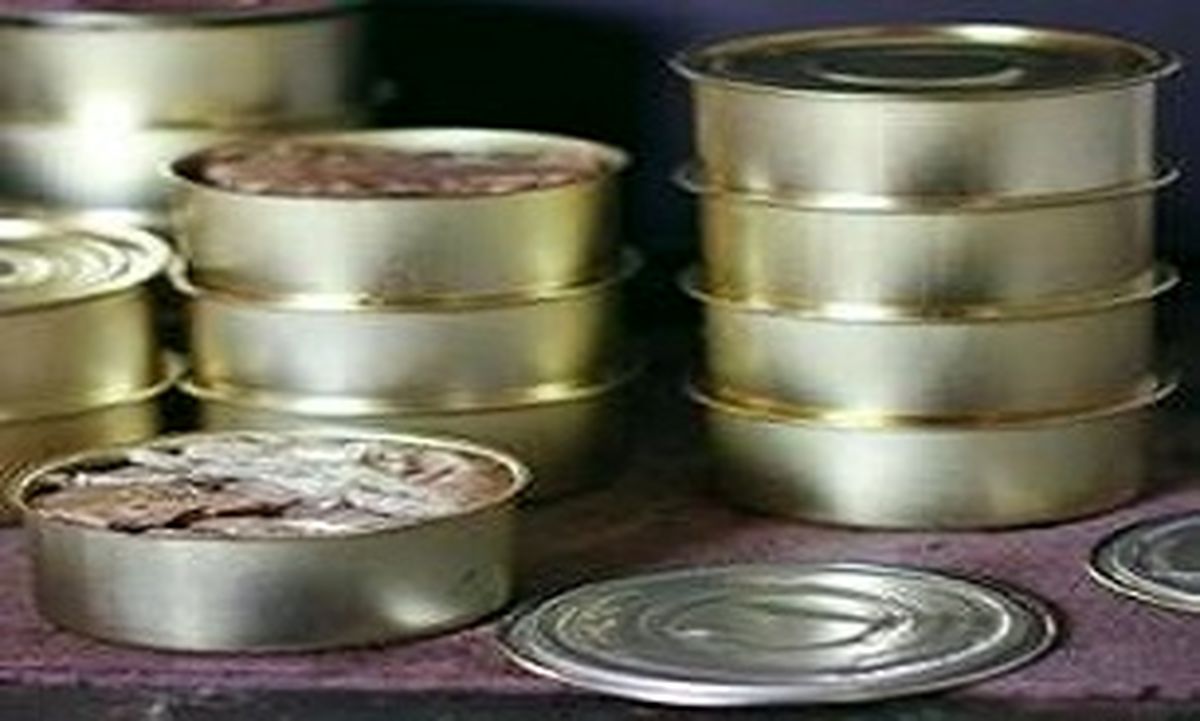 توقیف کنسرو تن ماهی و بستنی غیراستاندارد در تهران 