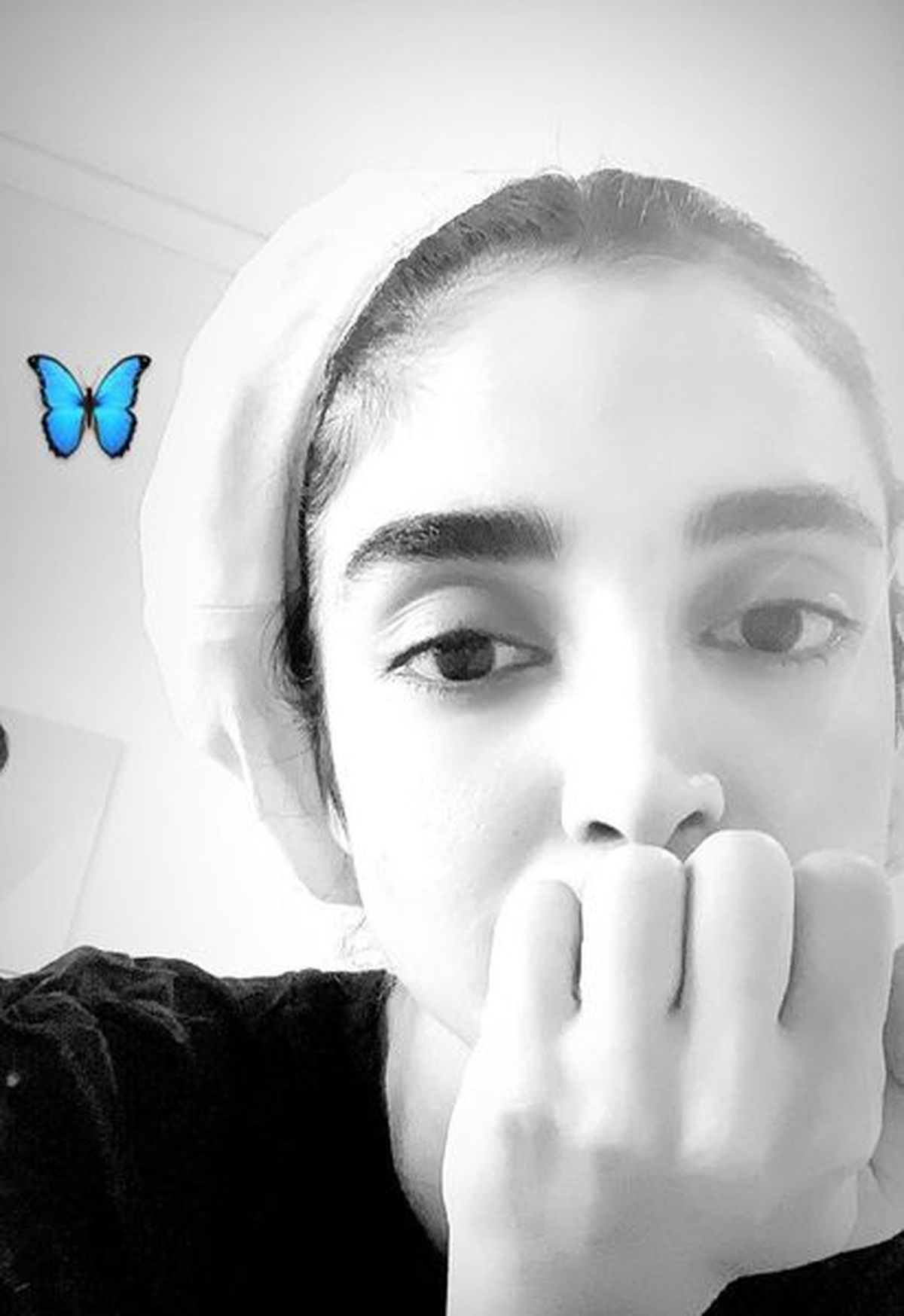 الهه حصاری و پروانه آبی اش+عکس