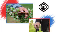 برترین سیستم‌های تامین اجتماعی در آسیا