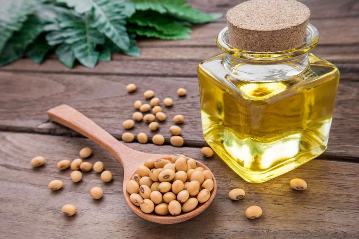 روغن سویا چیست و چه خواص و مضراتی برای بدن دارد ؟