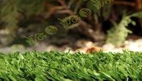 مقایسه چمن مصنوعی با چمن طبیعی