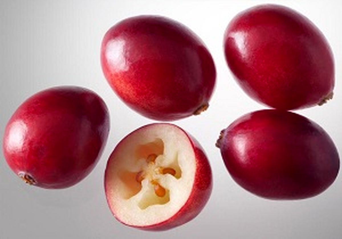 دارویی طبیعی برای پیشگیری از سرطان 