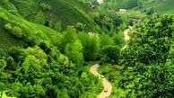 طبیعت زیبای منطقه "سطلسر"