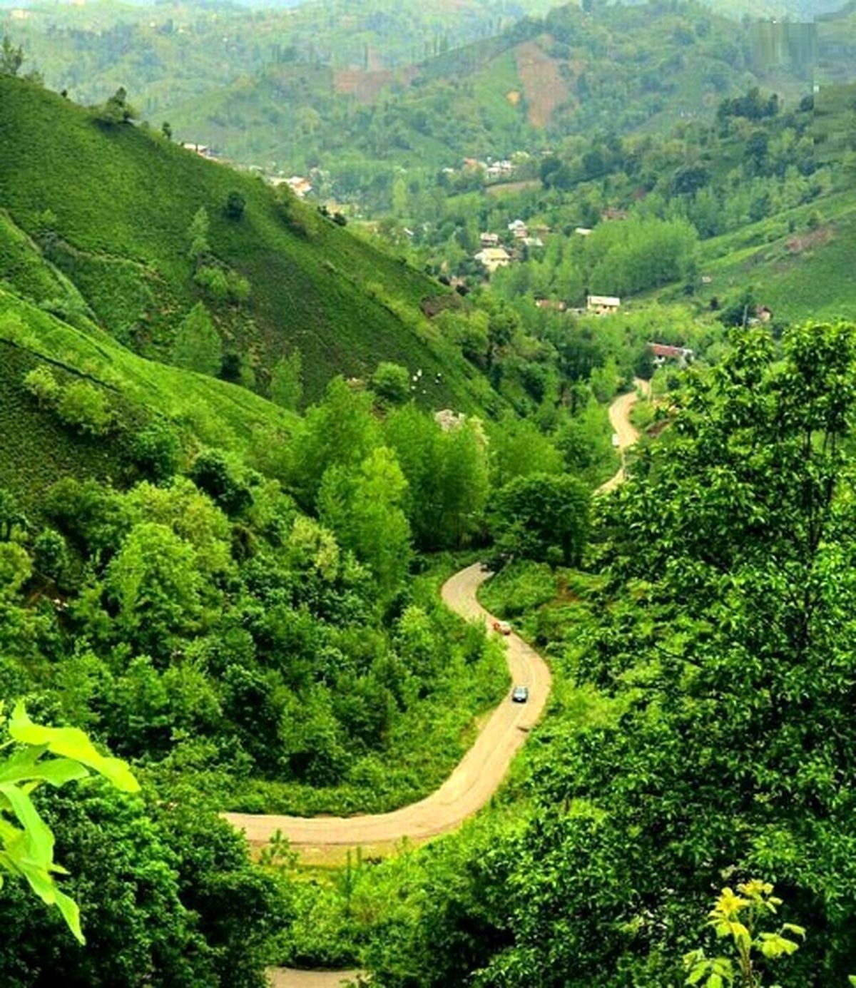 طبیعت زیبای منطقه "سطلسر"