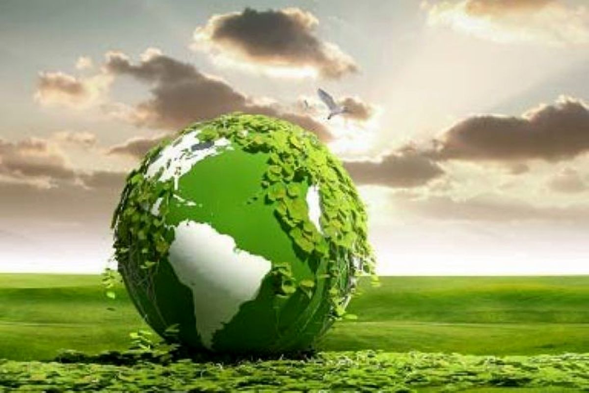 آیا مصرف‌کننده‌ای سبز هستیم؟