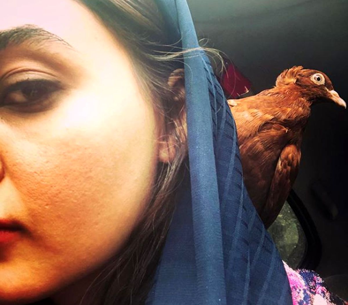 عکس خاص نیلوفر پارسا با حیوان خانگی اش