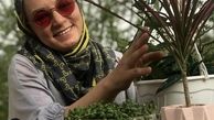 گلدان های زیبای سحر ولد بیگی + عکس