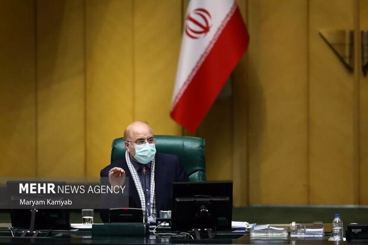 ثبات قیمت کالاهای اساسی برای مجلس مهم است