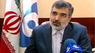 آخرین وضعیت رآکتور آب‌سنگین خنداب اراک از زبان کمالوندی