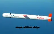 موشک تاماهاک چیست | دلیل اصرار اوکراین برای داشتن موشک تاماهاک 