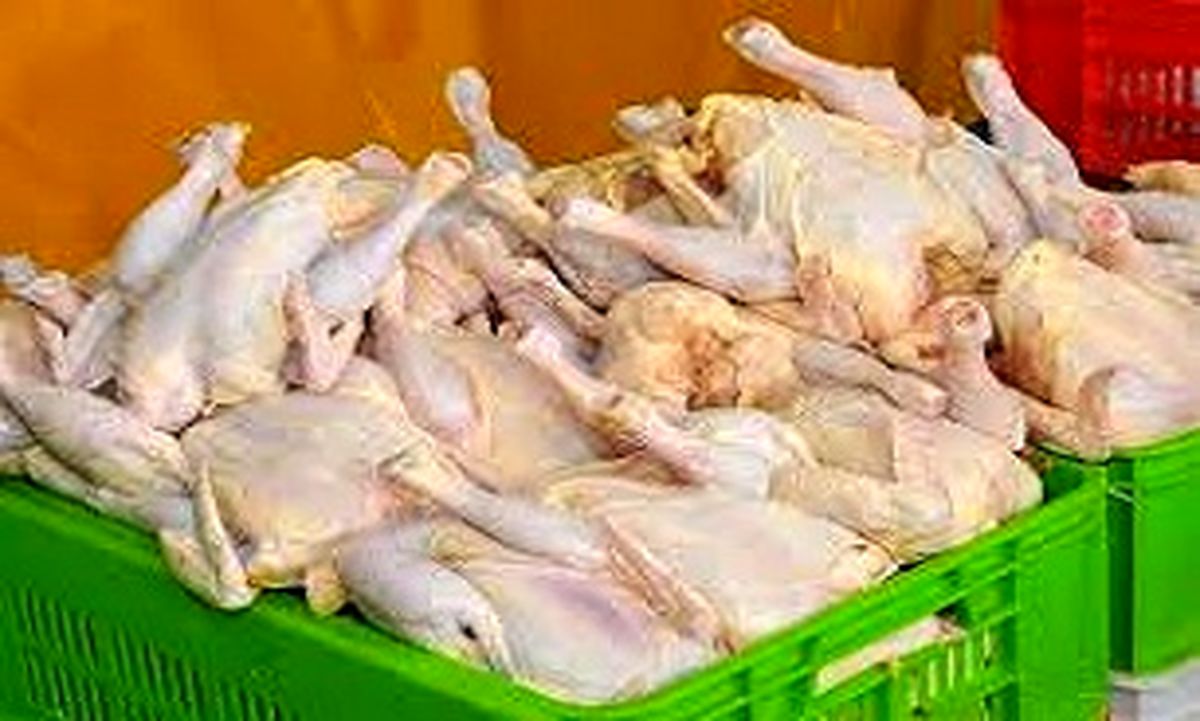 خبری از گرانی مرغ نیست