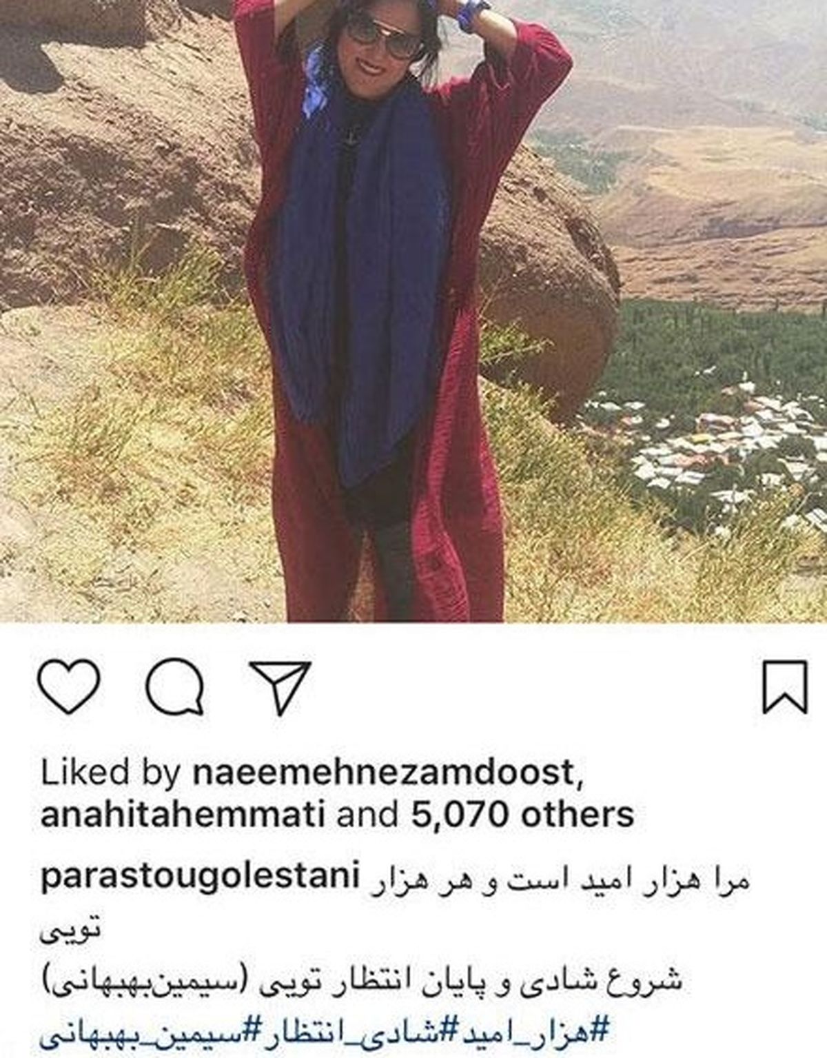 پرستو گلستانی در طبیعت سبز کوهستانی
