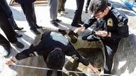 پیمانکار پارک مقصر مرگ فاطمه در آبنمای بوستان کوهسار