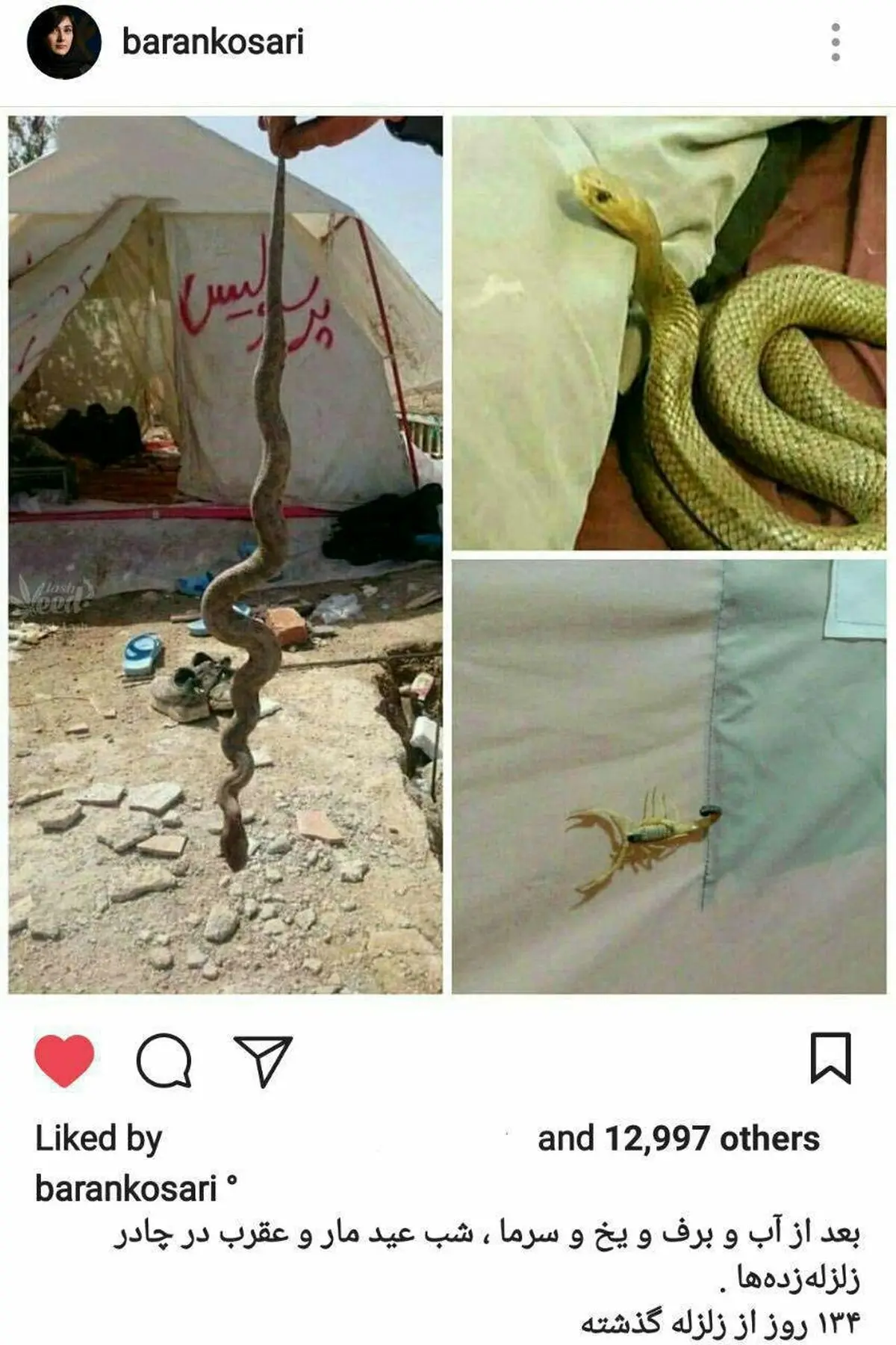 اینستاگرام:: مار و عقرب در چادر زلزله‌زدگان کرمانشاهی