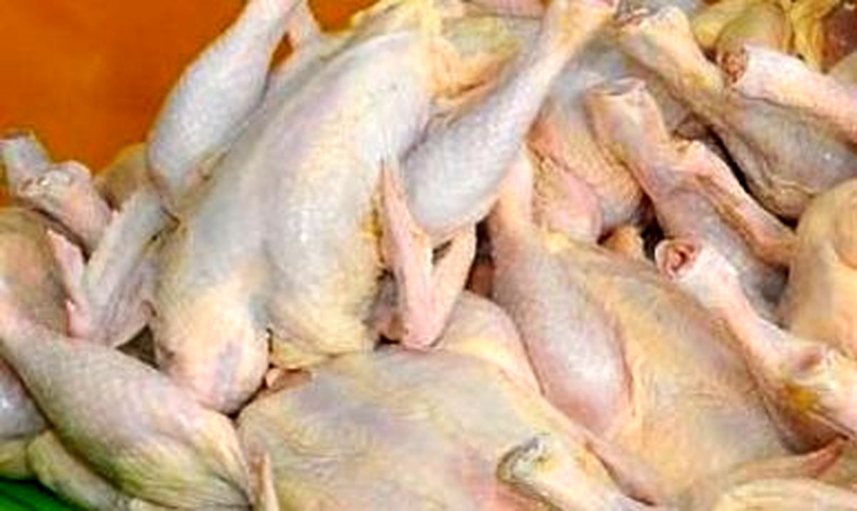 اعتراض تولیدکنندگان به قیمت اعلام‌شده مرغ