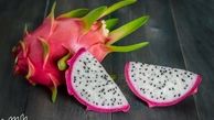 آشنایی با خواص میوه اژدها برای سلامت بدن و تقویت سیستم ایمنی