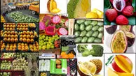 آخرین وضعیت عرضه میوه های قاچاق در بازار